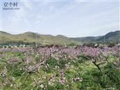 浙江省,舟山市,普陀区,六横镇,双塘中心村