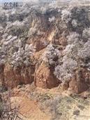 山西省,长治市,襄垣县,下良镇,寨沟村