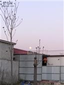 河北省,邯郸市,永年区,讲武乡,石北汪村