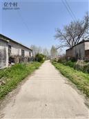 江苏省,淮安市,淮安区,宋集乡,谷尹村