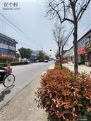 江苏省,淮安市,淮安区,宋集乡,宋集村