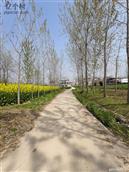 江苏省,淮安市,淮安区,宋集乡,谷尹村