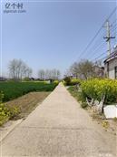 江苏省,淮安市,淮安区,宋集乡,谷尹村