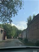 山东省,聊城市,冠县,店子镇,里固八甲村