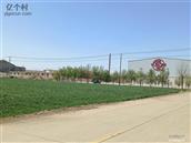 山东省,烟台市,莱州市,平里店镇,大沟崖村