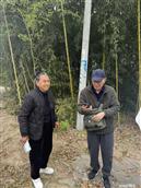 湖北省,荆门市,沙洋县,高阳镇,黄集村