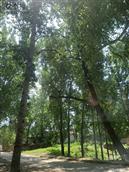 山东省,聊城市,冠县,店子镇,里固八甲村