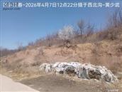 辽宁省,朝阳市,龙城区,半拉山街道,半拉山村