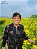 内蒙古,巴彦淖尔市,杭锦后旗,二道桥镇,繁荣村