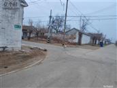 山东省,德州市,陵城区,前孙镇,柳家村