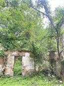 山东省,潍坊市,安丘市,柘山镇,槐抱榆村