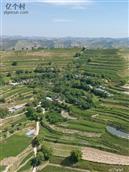 甘肃省,定西市,临洮县,新添镇,潘家坡村