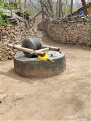 山东省,潍坊市,安丘市,柘山镇,槐抱榆村