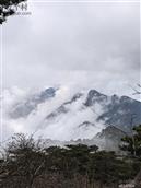 新发村 