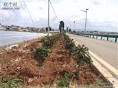 云南省,曲靖市,陆良县,板桥镇,河西堡村