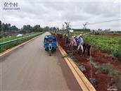 云南省,曲靖市,陆良县,板桥镇,河西堡村