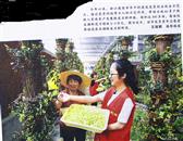 浙江省,杭州市,建德市,莲花镇,齐平村