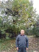 湖北省,随州市,曾都区,淅河镇,双堰村