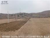 辽宁省,朝阳市,龙城区,半拉山街道,半拉山村