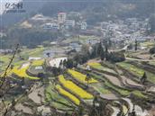 贵州省,黔东南州,凯里市,万潮镇,老鸦山村