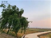 云南省,大理州,祥云县,云南驿镇,旧站村