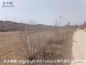 辽宁省,朝阳市,龙城区,半拉山街道,半拉山村