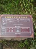 四川省,广元市,昭化区,张家乡,金紫村