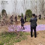 山东省,济宁市,嘉祥县,梁宝寺镇,王集村