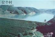 陕西省,延安市,洛川县,杨舒乡,南青牛村