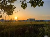 安徽省,宿州市,埇桥区,朱仙庄镇,朱庙村