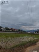 东月村 