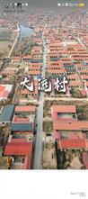 山东省,滨州市,沾化区,冯家镇,大流村