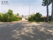 山东省,烟台市,莱州市,城港路街道,路宿郑家村