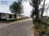 山东省,烟台市,莱州市,城港路街道,路宿郑家村