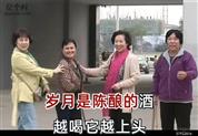 王家庄村 