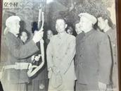 明星村 