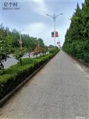 陕西省,宝鸡市,凤翔区,城关镇,行司巷村