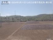 辽宁省,朝阳市,龙城区,半拉山街道,半拉山村