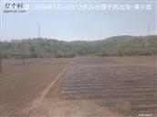 辽宁省,朝阳市,龙城区,半拉山街道,半拉山村