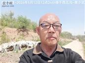 辽宁省,朝阳市,龙城区,半拉山街道,半拉山村