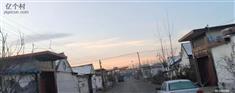 山东省,滨州市,博兴县,城东街道,董初村