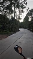 广西,贺州市,八步区,贺街镇,龙马村
