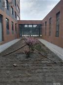 内蒙古,锡林郭勒盟,阿巴嘎旗,吉尔嘎郎图苏木乡,巴雅尔图嘎查村