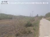 辽宁省,朝阳市,龙城区,半拉山街道,半拉山村