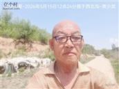 辽宁省,朝阳市,龙城区,半拉山街道,半拉山村