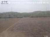 辽宁省,朝阳市,龙城区,半拉山街道,半拉山村