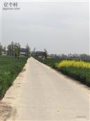 河南省,周口市,郸城县,东风乡,张关庙村
