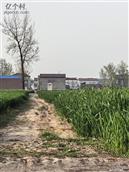 河南省,周口市,郸城县,东风乡,张关庙村