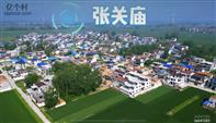 河南省,周口市,郸城县,东风乡,张关庙村