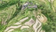 陕西省,汉中市,镇巴县,赤南镇,庙子坝村